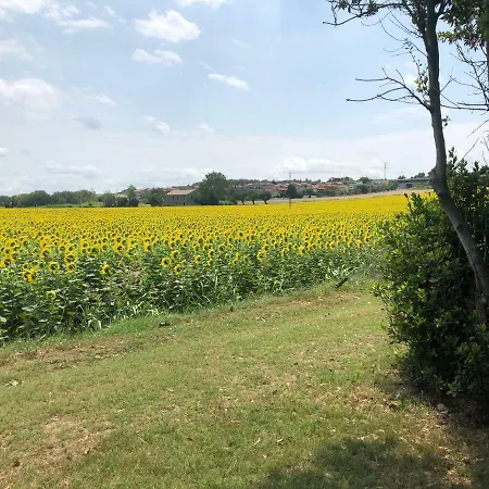 Il Podere Marina di Montemarciano